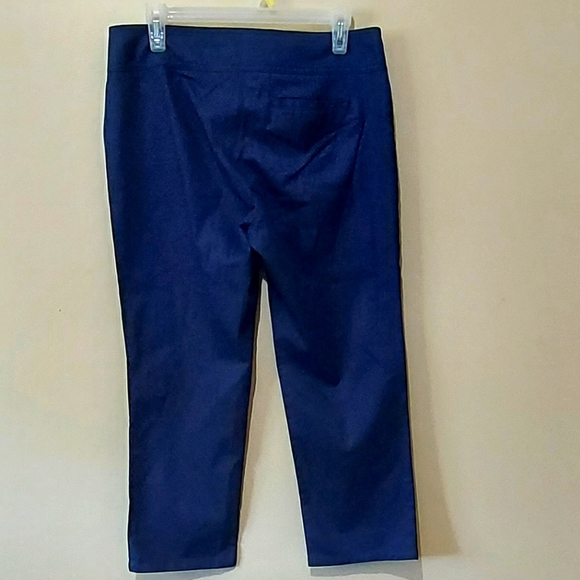 Lilly Pulitzer Navy Capris - Picture 5 of 5